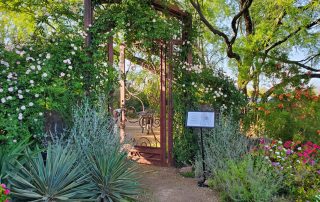gate entrance at dos