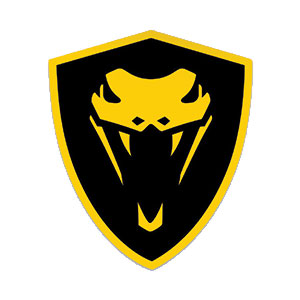 Vipers-Baseball Vipers Baseball